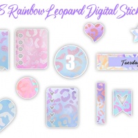 **BONUS - Rainbow Leopard Digital Planner Stickers OTO