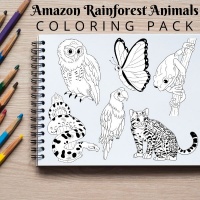 Amazon Rainforest Animals Coloring Pack