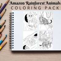 Amazon Rainforest Animals Coloring Pack Bronze