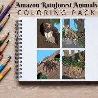 Amazon Rainforest Animals Coloring Pack Gold