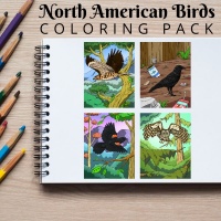 North American Birds Full Coloring Pack