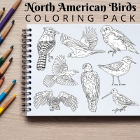 North American Birds Coloring Pack