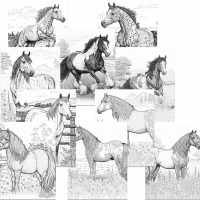 **BONUS - 10 AI Horse Coloring Pages