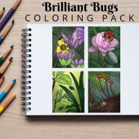 Brilliant Bugs Coloring Pack Gold