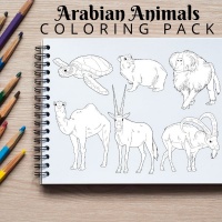 Arabian Animals Coloring Pack