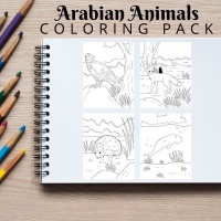 Arabian Animals Coloring Pack Bronze