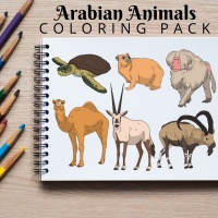 Arabian Animals Coloring Pack Silver