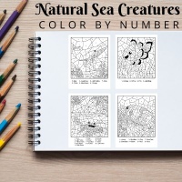 Natural Sea Creatures Color By Number Pack Bronze