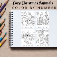Cozy Christmas Coloring Pack Bronze with Color By Number