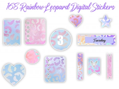 **BONUS - Rainbow Leopard Digital Planner Stickers OTO