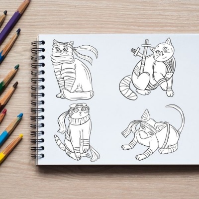 Ninja Cats Coloring Pack