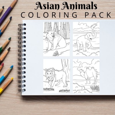 Asian Animals Coloring Pack Bronze