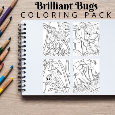 Brilliant Bugs Coloring Pack Bronze