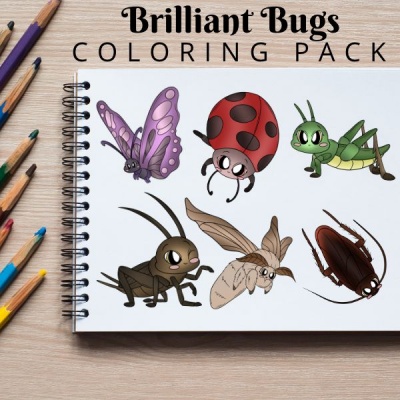 Brilliant Bugs Coloring Pack Silver