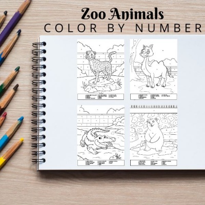 Zoo Animals Coloring Pack Color By Number Bronze