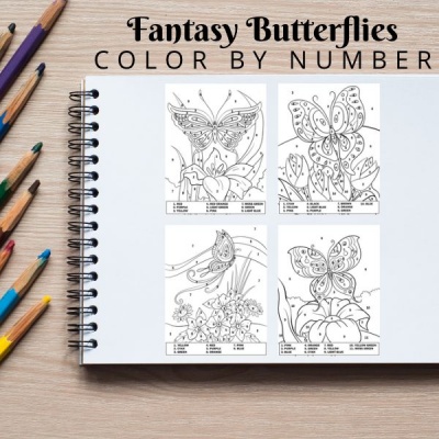 Fantasy Butterflies Coloring Pack Color By Number Bronze