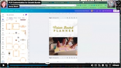 ***Bonus: Growth Bundle PLR Customization