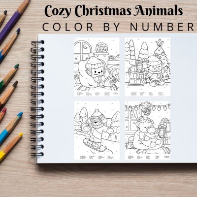 Cozy Christmas Coloring Pack Bronze with Color By Number